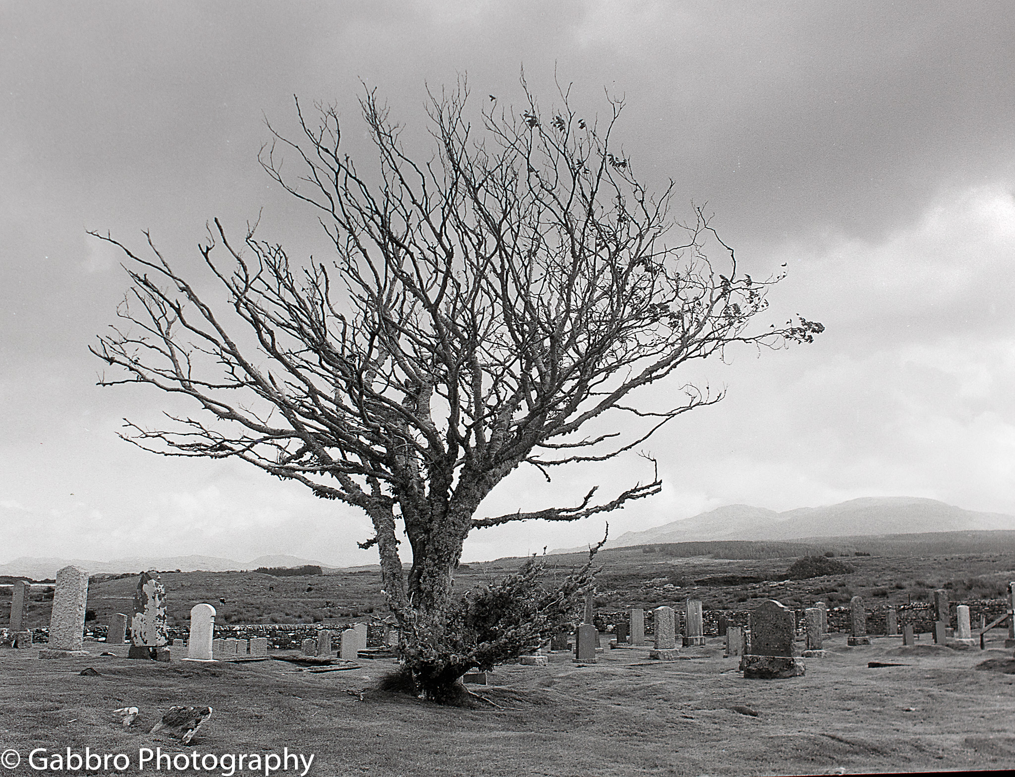 Aisaig graveyard, Isle of Skye, Bronica 645, Ilford Delta 400